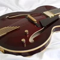 Entrada Archtop Guitar