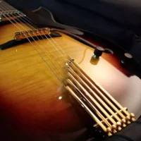 Gold Finger Tailpiece