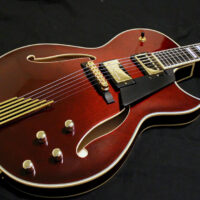 Double Pickup Port Wine Entrada