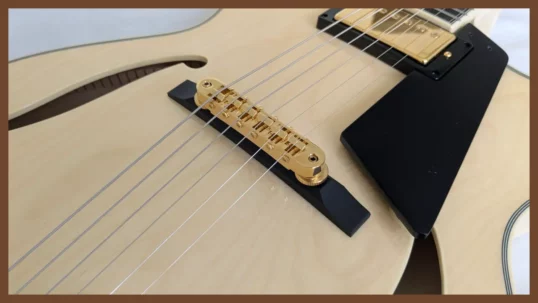 16" Blonde Entrada Studio Guitar - Image 5